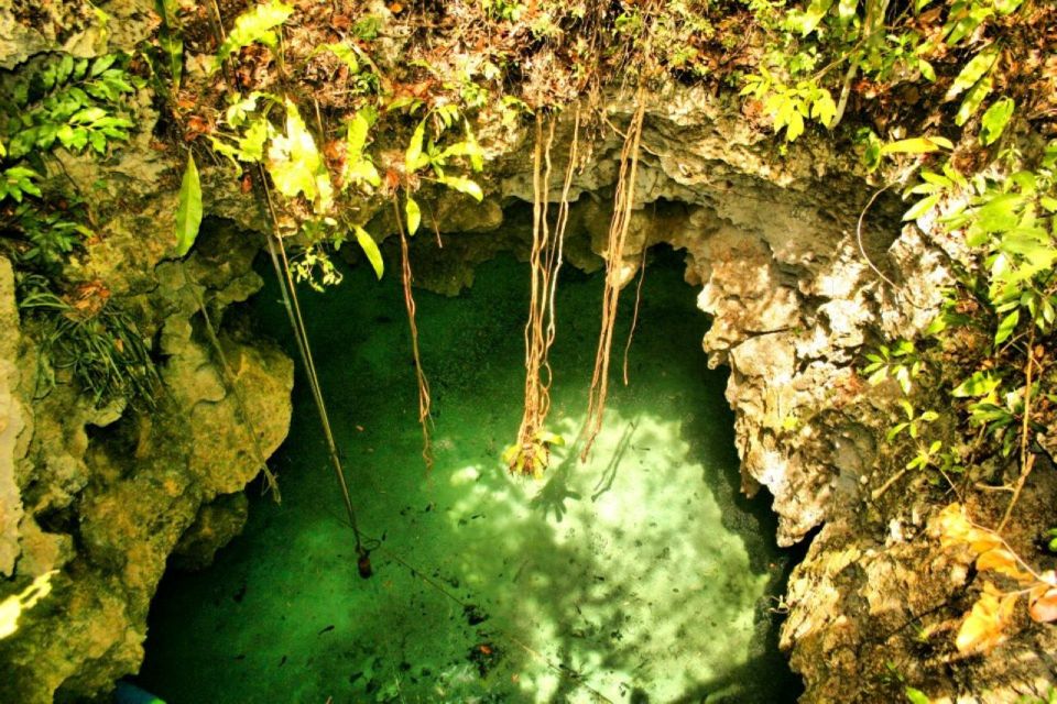 From Riviera Maya: Snorkeling & Private Cenote Half-Day Tour - Review Summary