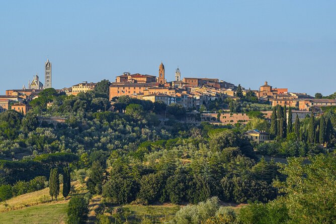 From Rome: San Gimignano, Siena, Chianti Winery Visit and Lunch - Tour Duration and Language Options