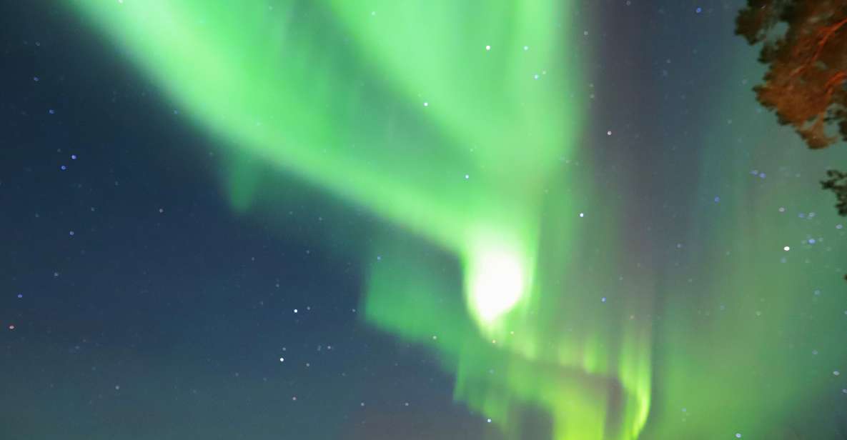 From Rovaniemi: Aurora Borealis Trip in Lapland Lakeside - Additional Information