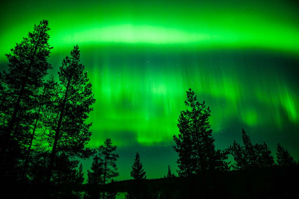 From Rovaniemi: Family-Friendly Northern Lights Tour - Customer Experience