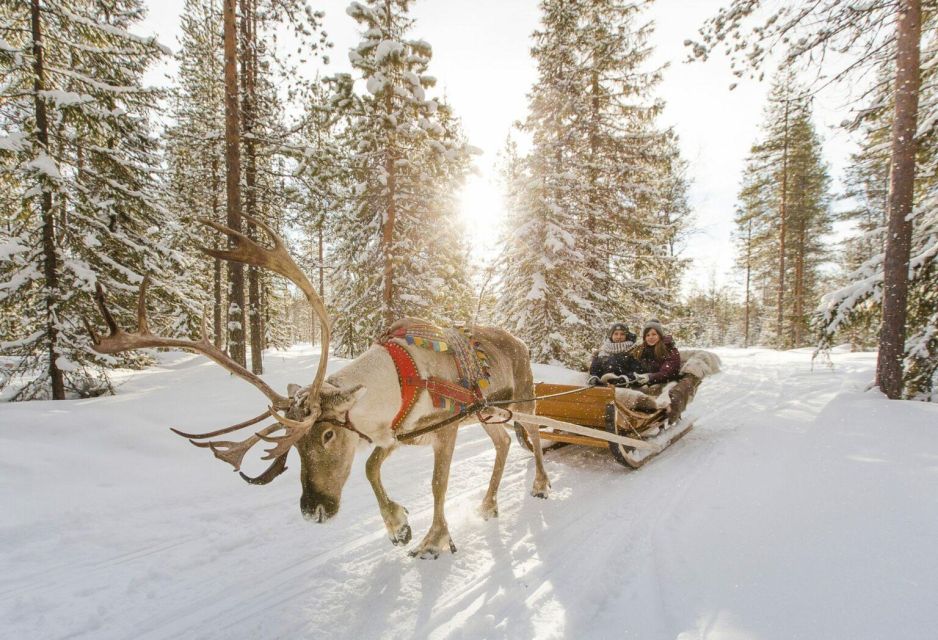 From Rovaniemi: Lapland Reindeer and Husky Sled Safari - Customer Review