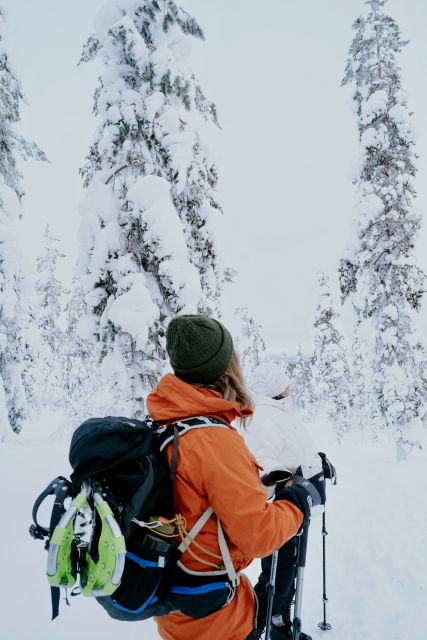 From Rovaniemi: Lapland Snowshoeing Adventure - Location and Booking