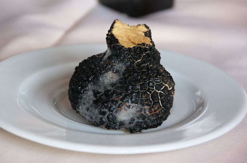 From Rovinj: Istria in 1 Day Tour With Truffle Tasting - Customer Reviews