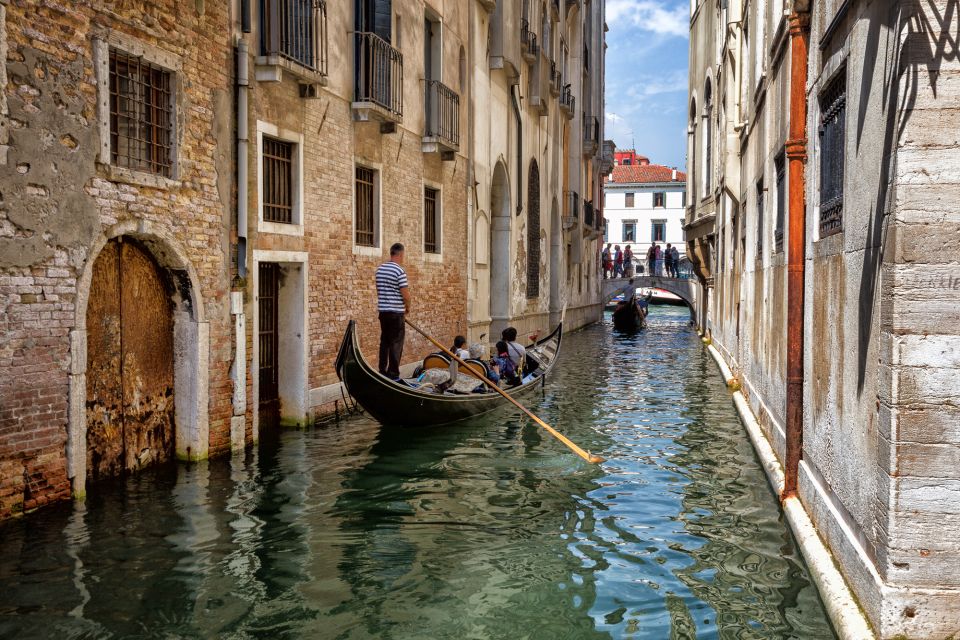 From Rovinj: Venice Boat Trip With Day or One-Way Option - Customer Reviews