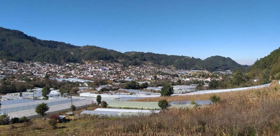 From San Cristobal: San Juan Chamula and Zinacantán Tour - Language Availability