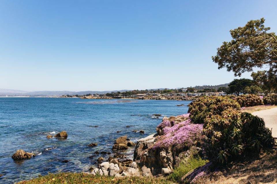 From San Francisco: Monterey and Carmel Day Tour - Review Summary and Ratings