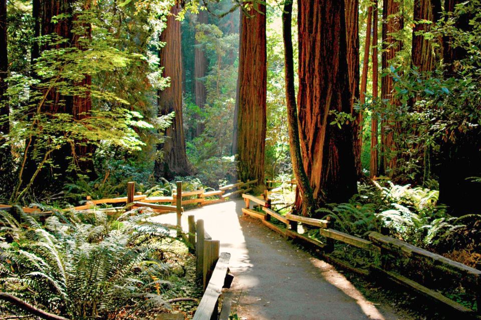 From San Francisco: Muir Woods and Sausalito Half-Day Trip - Inclusions