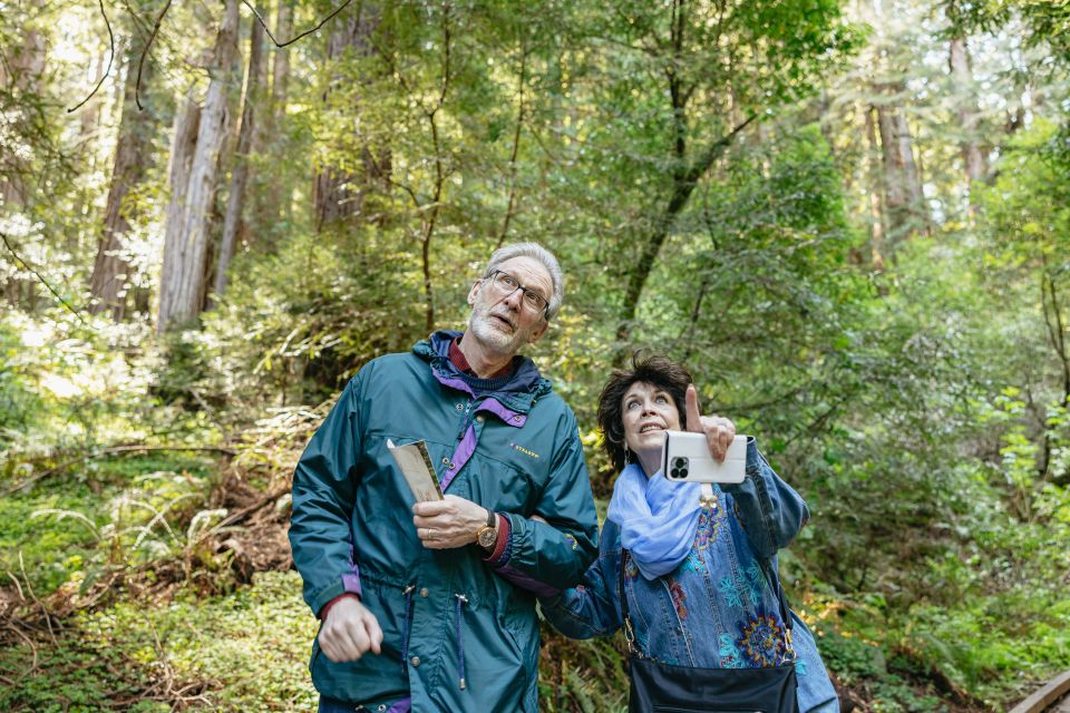 From San Francisco: Muir Woods National Monument Guided Tour - Review Summary and Ratings