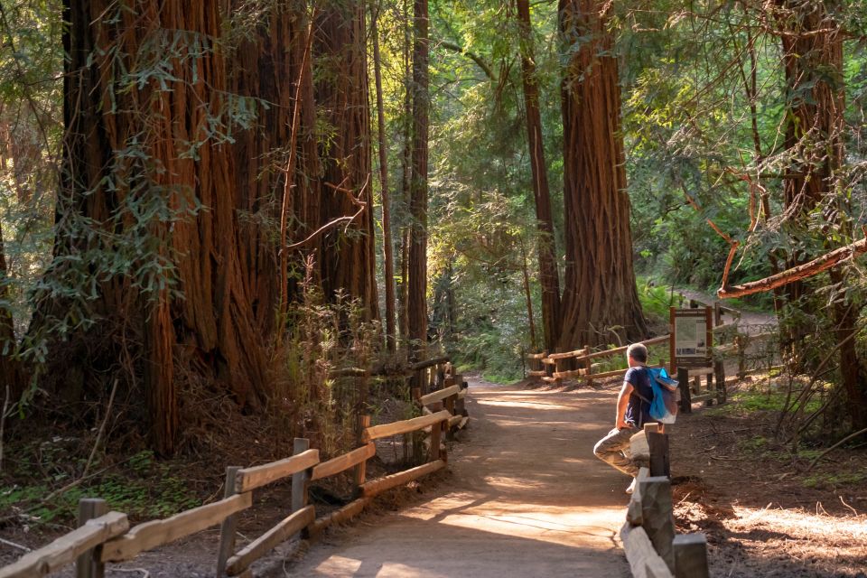 From San Francisco: Muir Woods Redwood Forest Tour - Location Details