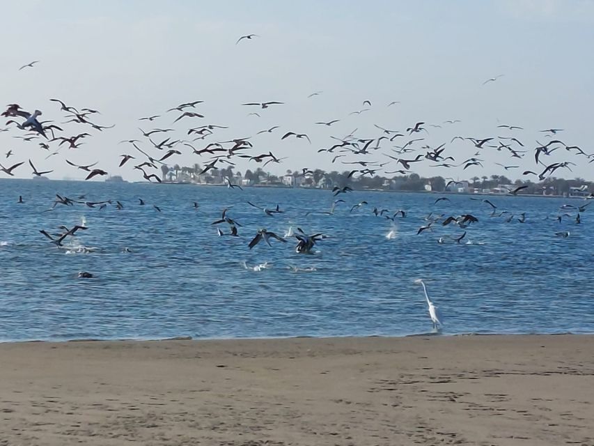 From San Martin Port: Ballestas Island & Paracas Reserve - Additional Information