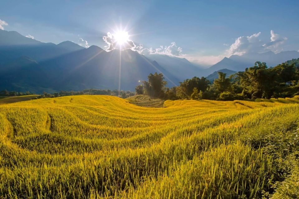 From Sapa: 1-Day Guided Trek to Lao Chai & Ta Van With Lunch - Trek to Lao Chai & Ta Van