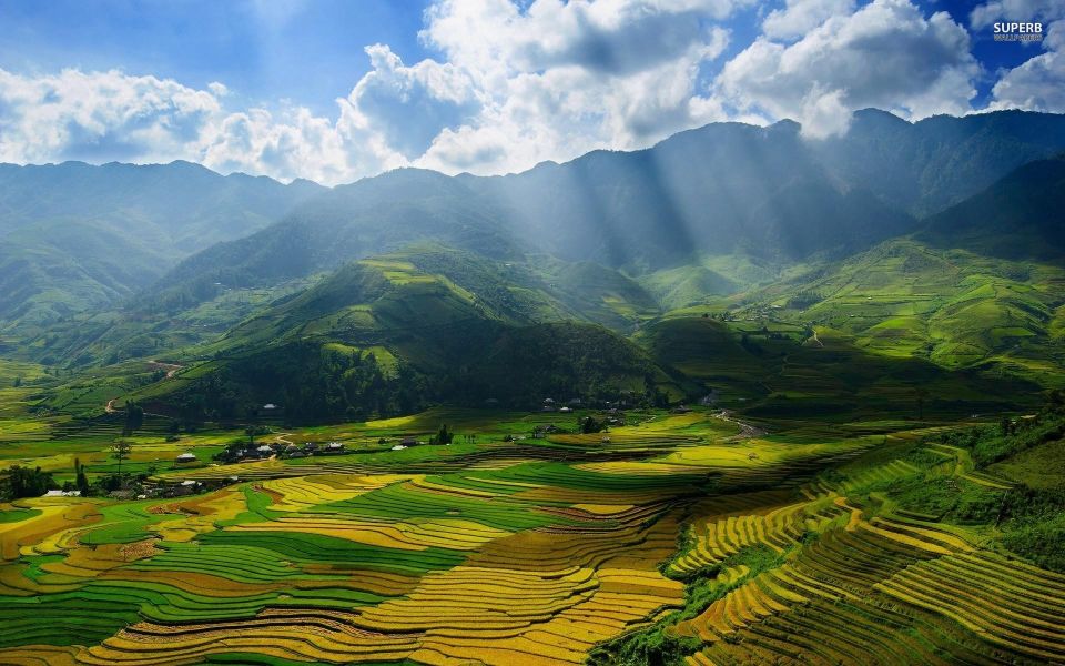 From Sapa: Terrace Fields and Local Villages Trek With Lunch - Customer Reviews and Ratings