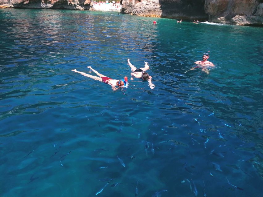 From Split: Blue Cave, Hvar, 5 Islands Speedboat Tour - Reviews