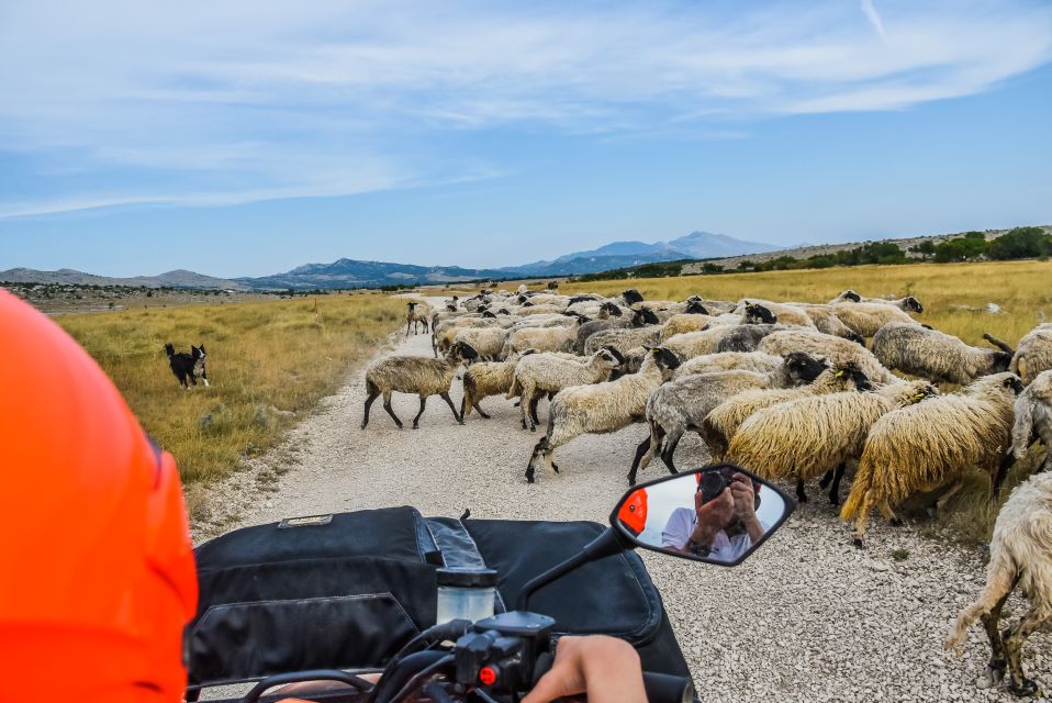 From Split: Full-Day Horse Riding & Quad Biking With Lunch - Customer Reviews