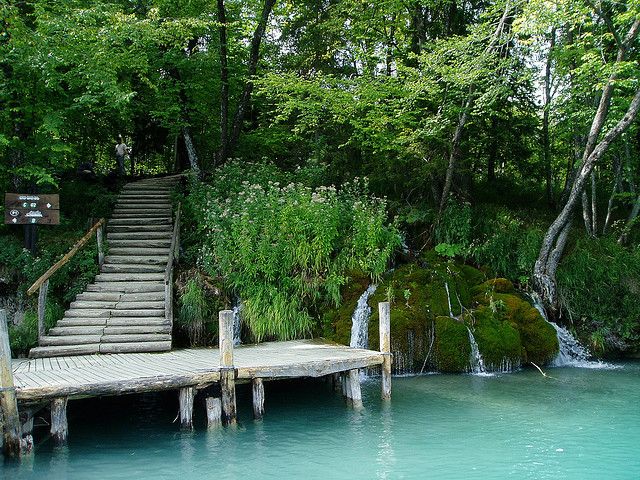 From Split or Trogir: Plitvice Lakes Private Tour - Customer Reviews