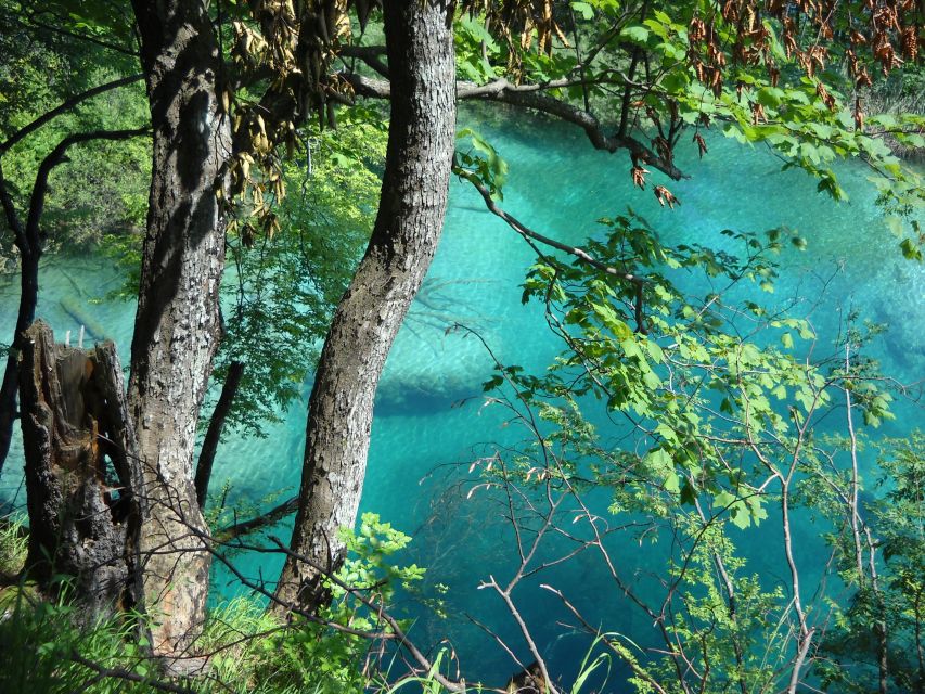 From Split: Plitvice Lakes Full-Day Trip - Reservation and Payment