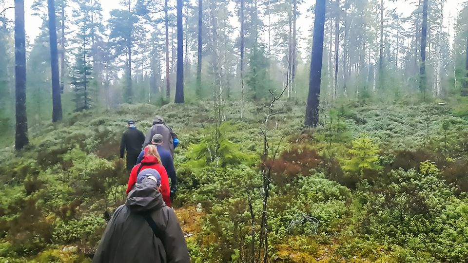 From Stockholm: Wildlife Safari With Campfire Dinner - Customer Reviews