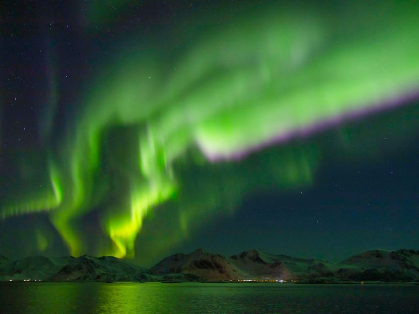From Svolvær: Guided Northern Lights Tour by Van - Experience Highlights and Photography