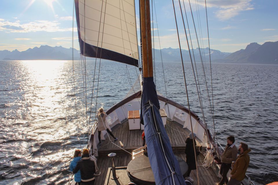 From Svolvær: Lofoten Islands Midnight Sun Sailing Tour - Additional Information