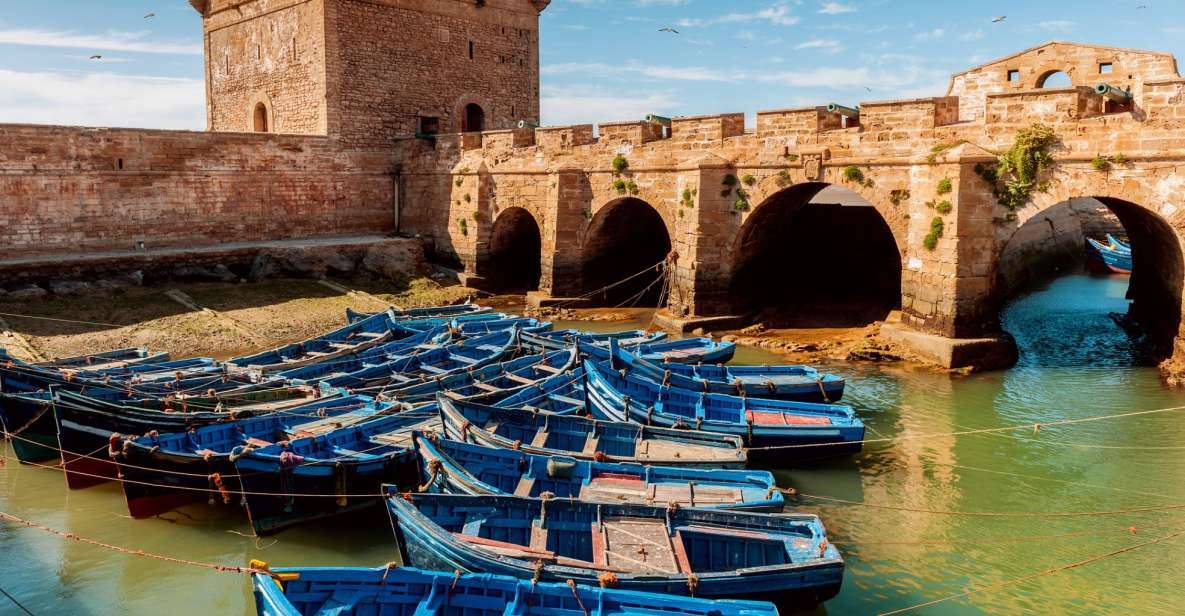 From Taghazout: Medina of Essaouira Guided Day Trip - Customer Ratings