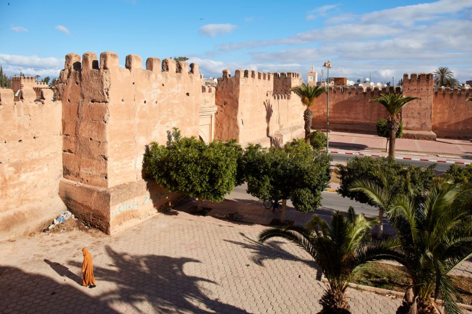 From Taghazout: Taroudant and Tiout Oasis Guided Tour - Full Description