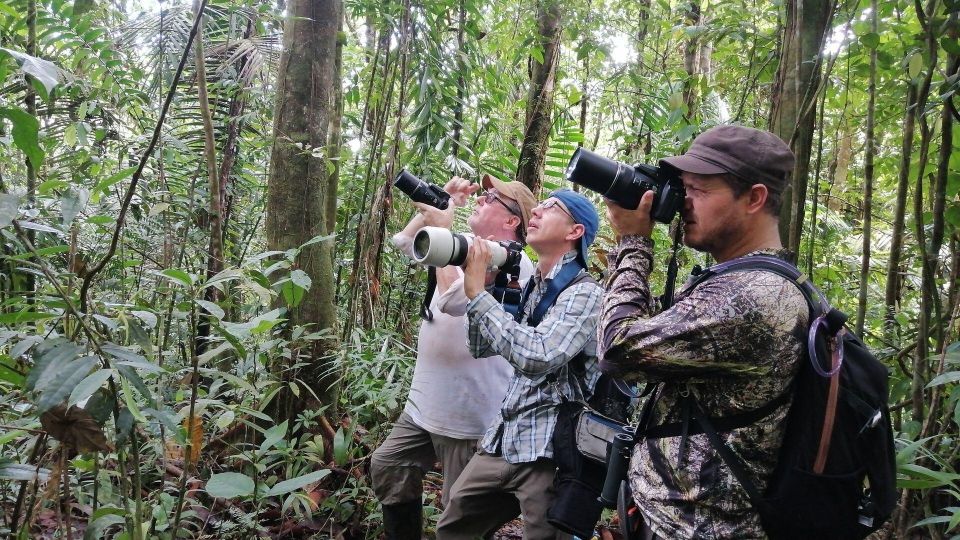 From Tambopata Photography Tour - 8 Days - Photography Opportunities