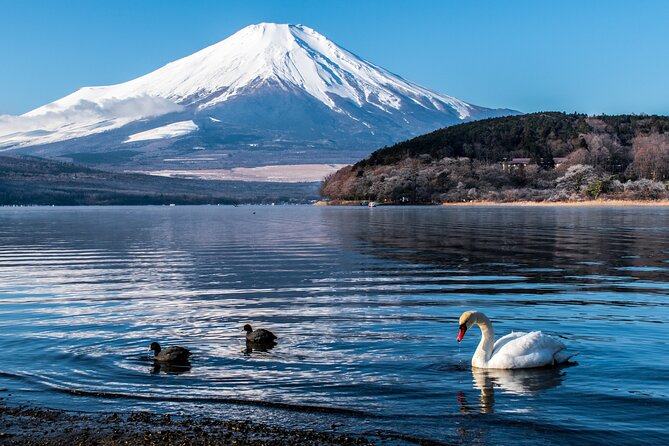 From Tokyo: Mt. Fuji Sightseeing Private Tour With English Guide - Support and Resources