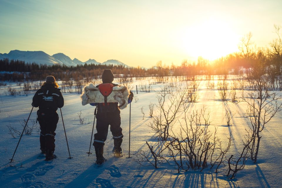 From Tromsø: Guided Husky Snowshoe Hike and Husky Camp Visit - Amenities and Guide Information