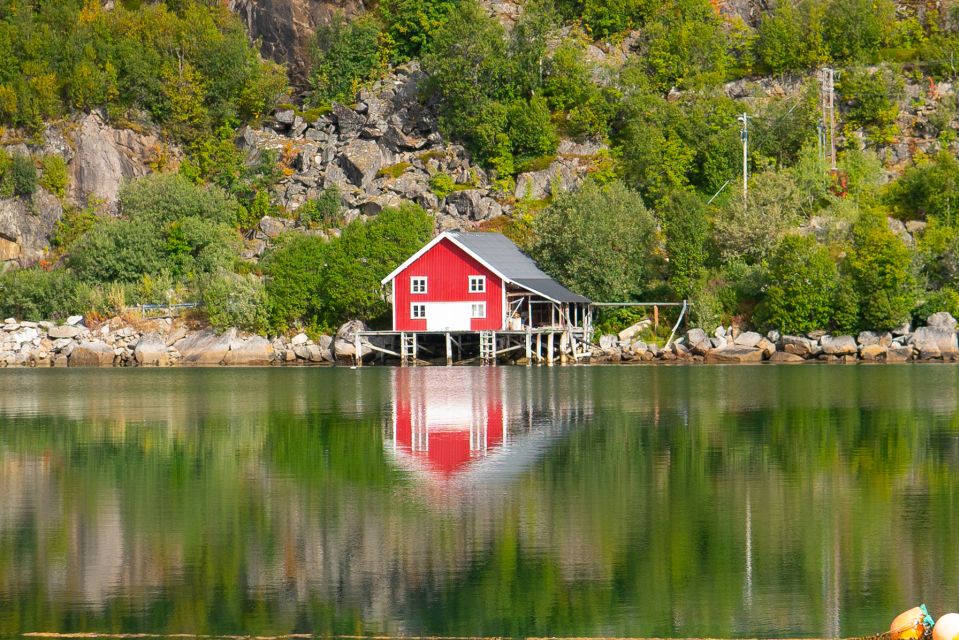 From Tromsø: Kvaløya and Sommarøy Scenic Fjord Day Trip - Tour Description