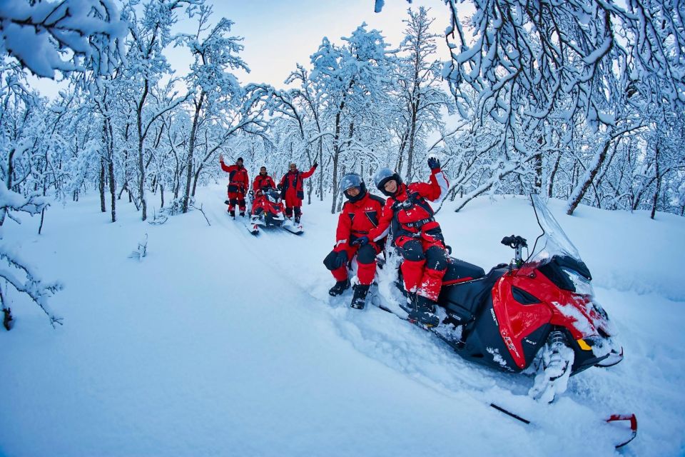 From Tromsø: Lyngen Alps Guided Snowmobile Tour With Lunch - Customer Reviews and Requirements