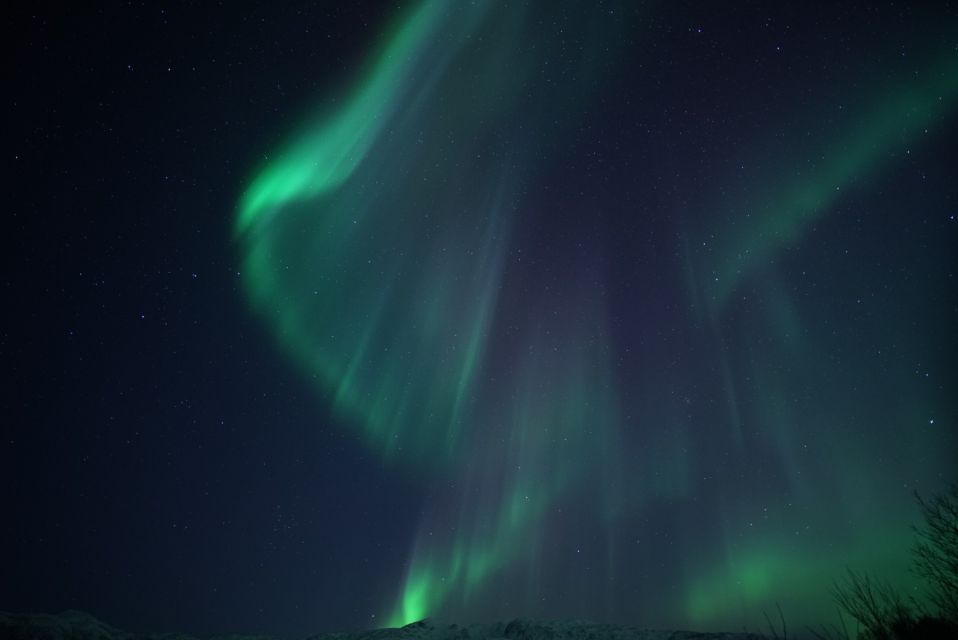 From Tromsø: Northern Lights Chase by Boat - Meeting Point and Logistics