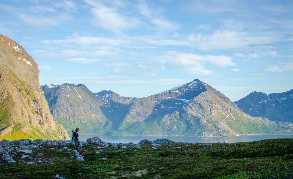 From Tromsø: Small Group Hiking Tour to Brosmetinden - Customer Feedback and Location Details