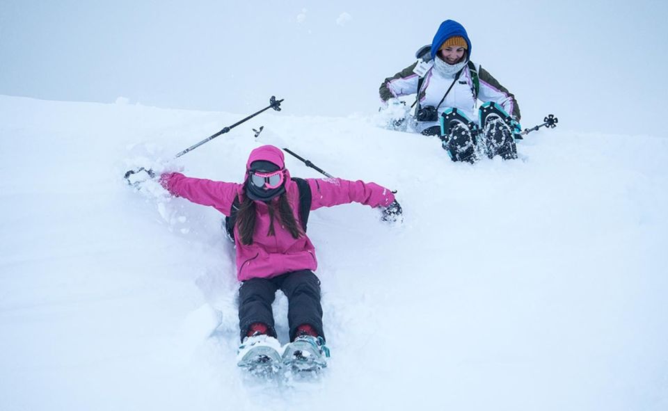 From Tromso: Small-group Snowshoeing Tour - Activity Logistics