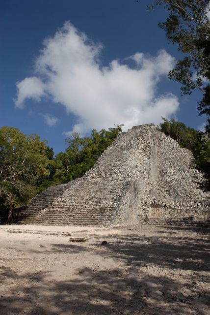 From Tulum: Coba, Punta Laguna and Cenote Day Trip - Review Summary