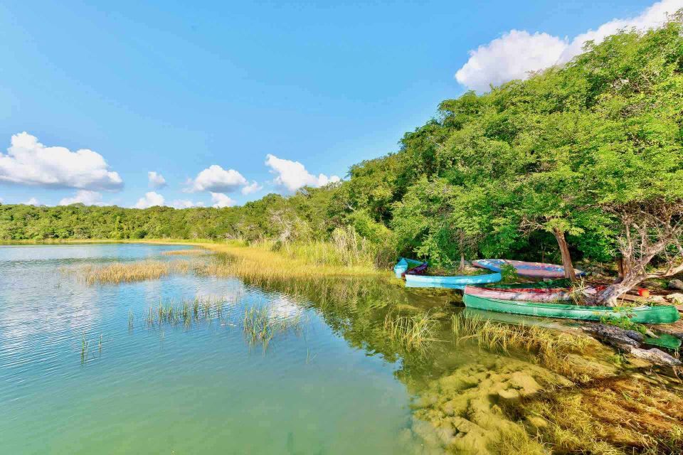 From Tulum: Punta Laguna Nature Reserve, Cenote & Cobá Tour - Additional Details