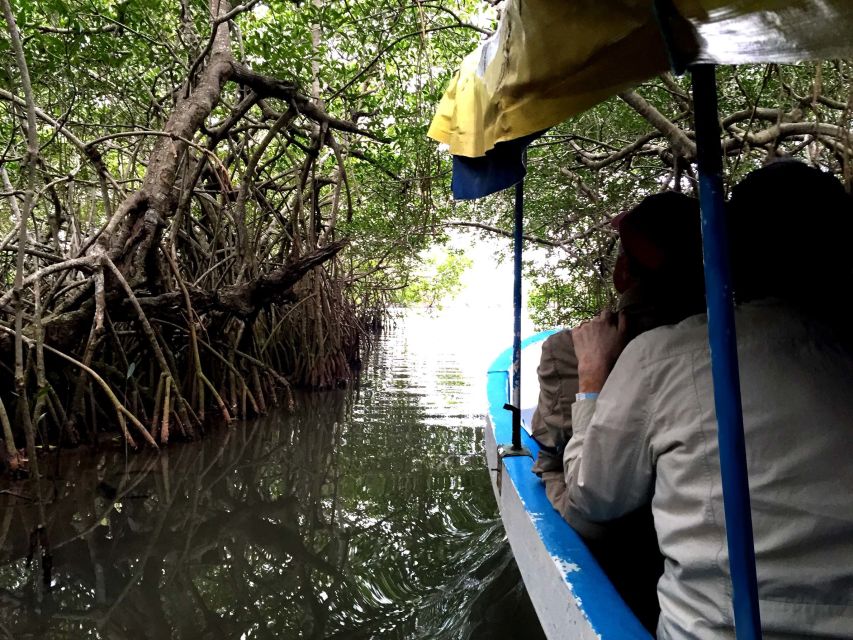 From Veracruz: Nature & Seafood Boat Tour to Madinga - Location Details