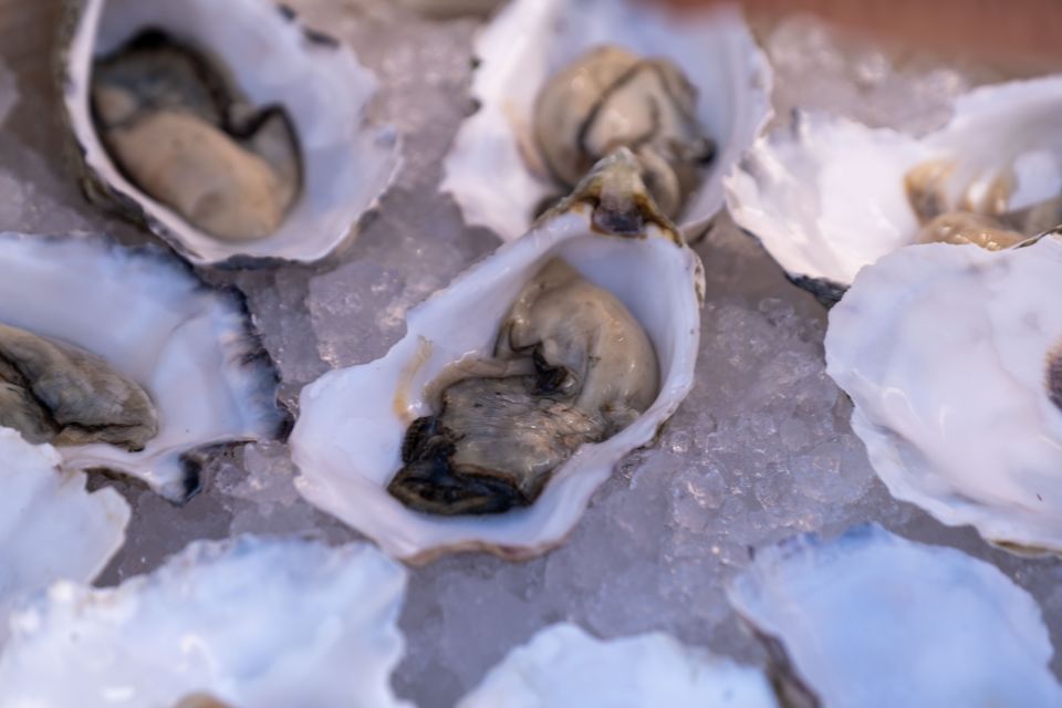 From Vilamoura: Oysters and Bubbles Sailing Experience - Inclusions