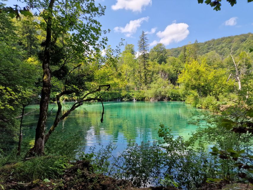 From Zadar: Plitvice Lakes Day Tour With Boat Ride - Organizer Communication and Staff