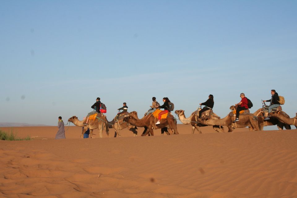 From Zagora: 2-Day Desert Tour to Erg Chegaga - Review Summary