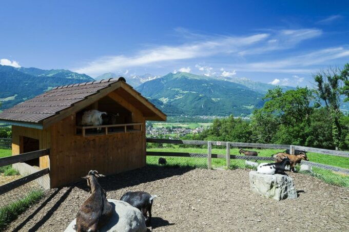 From Zurich: Private Trip to Liechtenstein and Heidiland - Customer Reviews