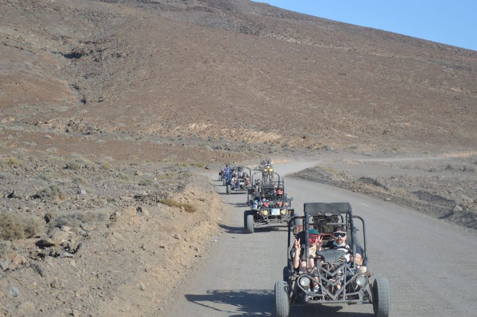 Fuerteventura: Jandía Natural Park & The Puertito Buggy Tour - Review Summary From Participants