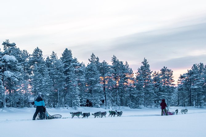 Full Day 30 to 40KM Taiga Husky Tour With a Lunch, in Rovaniemi - Traveler Photos Access