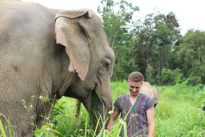 Full Day Bamboo RaftingElephant CareJungle Waterfall - Tour Experience Details