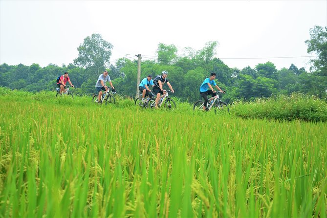 Full Day Bicycle Tour Hanoi Countryside To Co Loa Villages - Bicycle Tours Hanoi - Customer Support