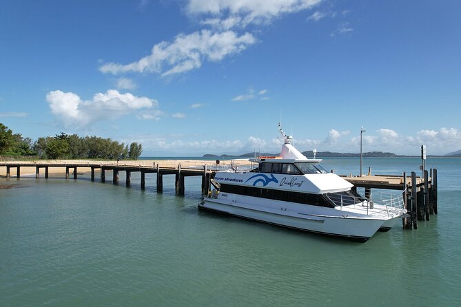 Full Day Cruise Xpedition to Fitzroy, Kent and Dunk Islands - Onboard Activities