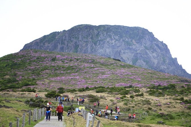 Full-Day Customizable Private Essential Jeju Island Tour for South Course - Additional Resources