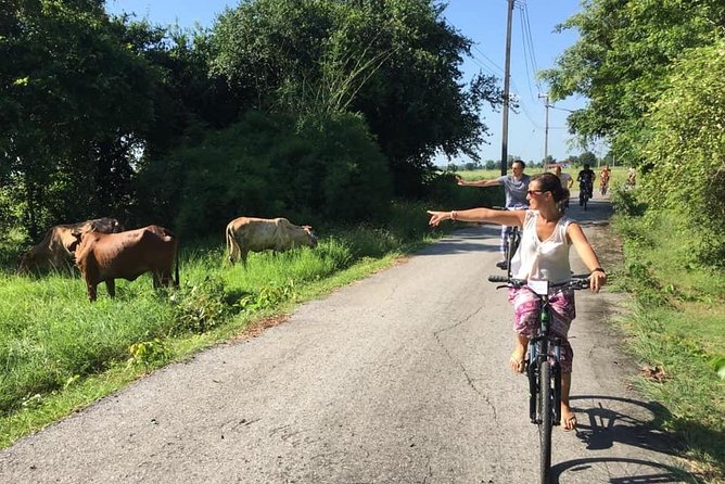 Full Day Cycling Tour to Sukhothai Historical Park - Booking Information