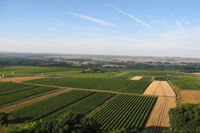 Full Day Discovering Cognac From Bordeaux - Tour Operator Details