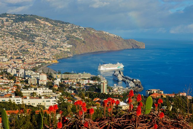 Full Day East of Madeira Tour - Logistics and Comfort