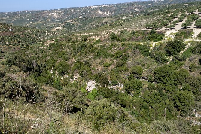 Full Day -Ecobike Discover Old Villages & Olive Oil Factory - Contact and Booking